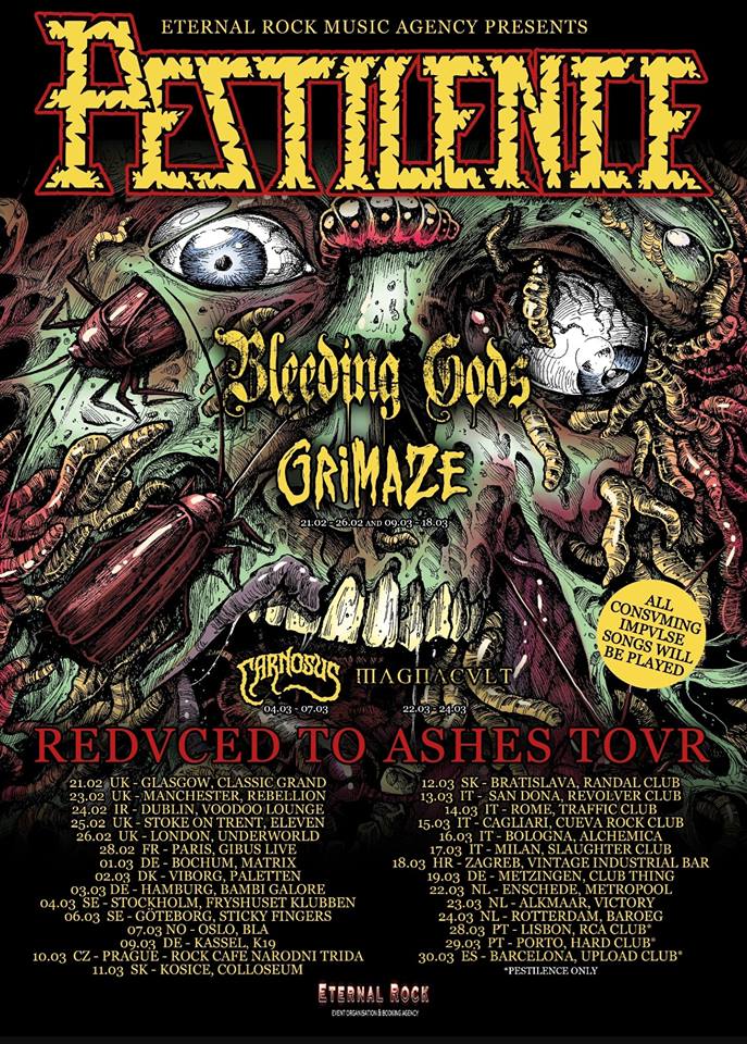 49897813_2073909285980854_5788647313983406080_n