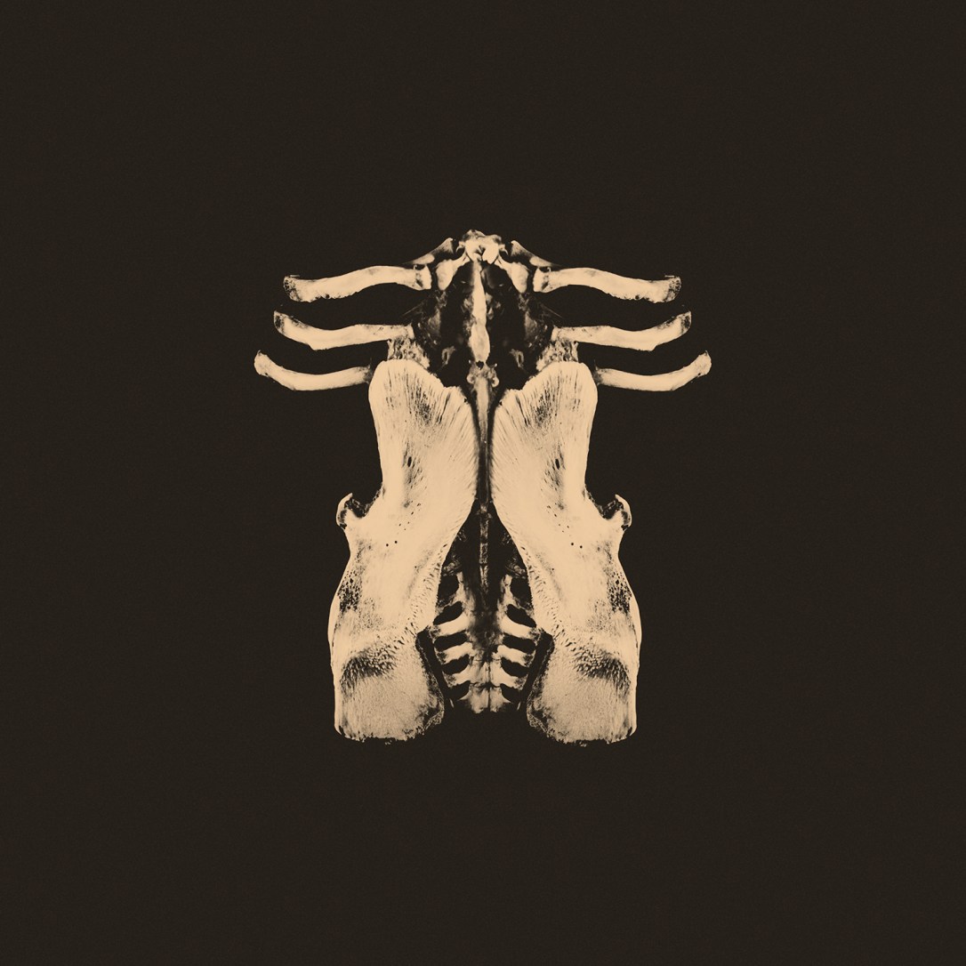 Oktoplut-Pansements-CD1440x1440