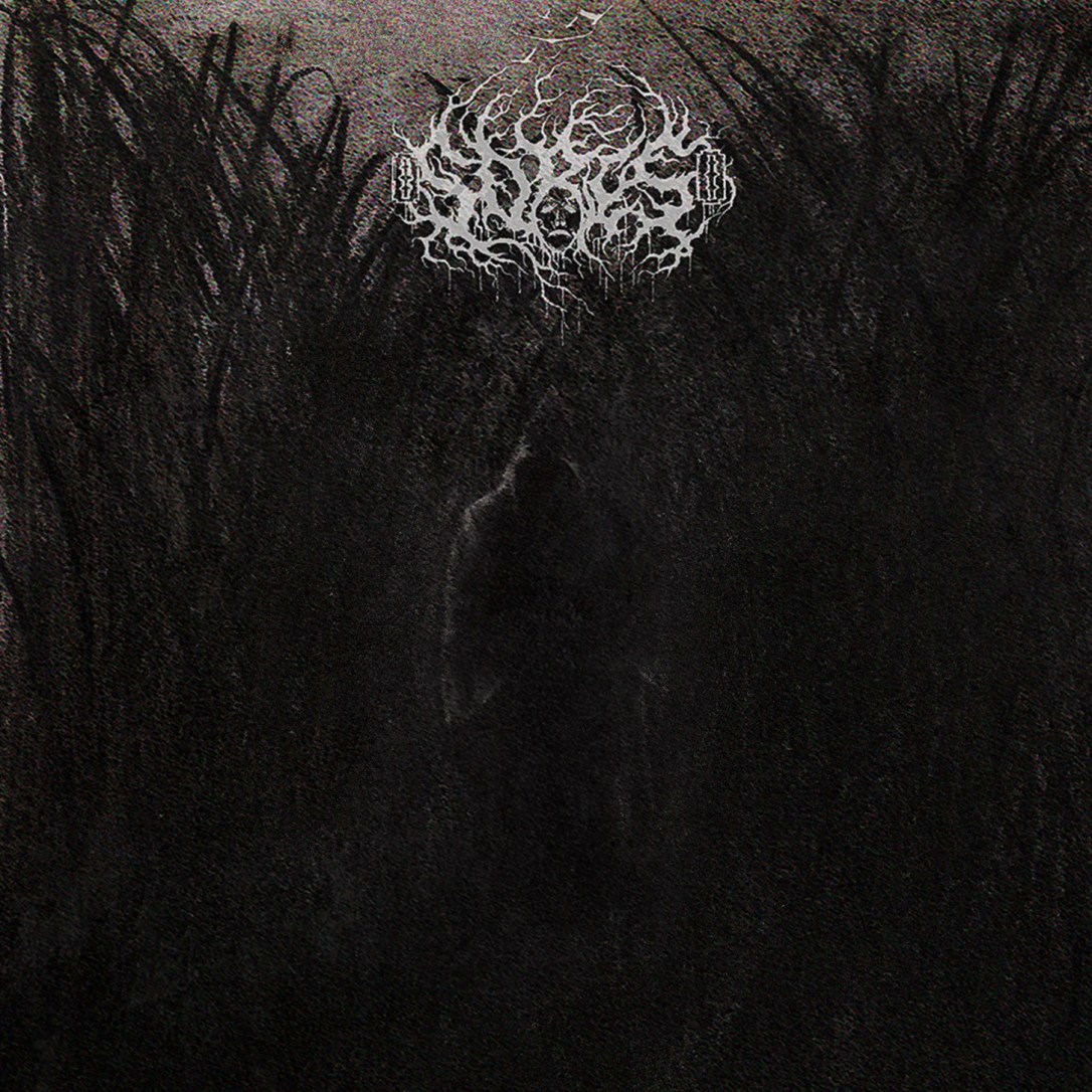 05. (free to use) cover